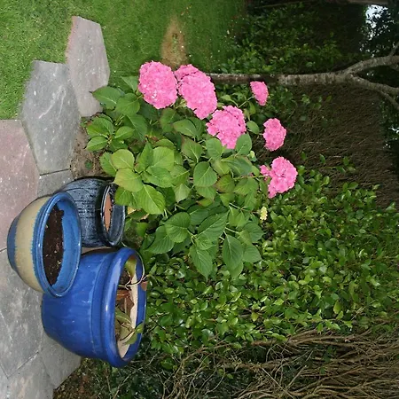 Dunaree Bed & Breakfast Bunratty