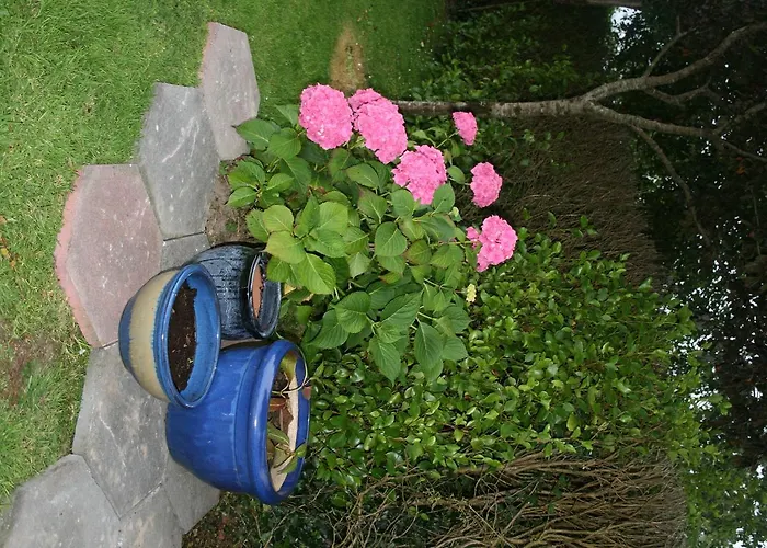 Dunaree B&B 번래티